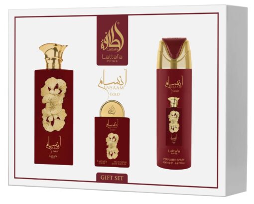 ANSAAM GOLD COFFRET